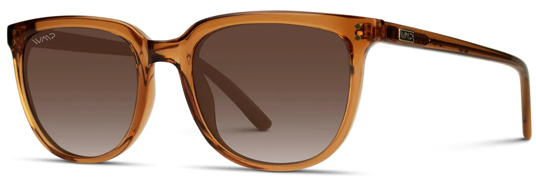 Abner Sunglasses in Crystal Brown/Brown