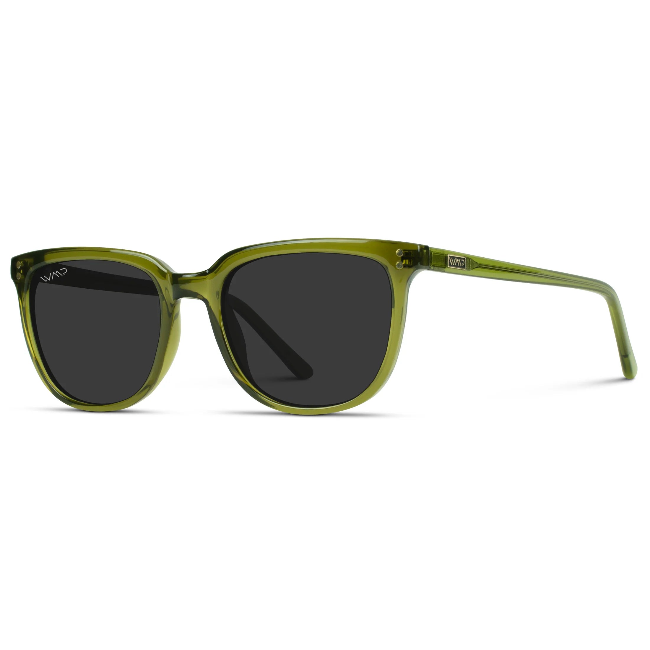 Abner Sunglasses in Crystal Saguaro Green/Black